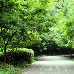 游泳走光在线播放
